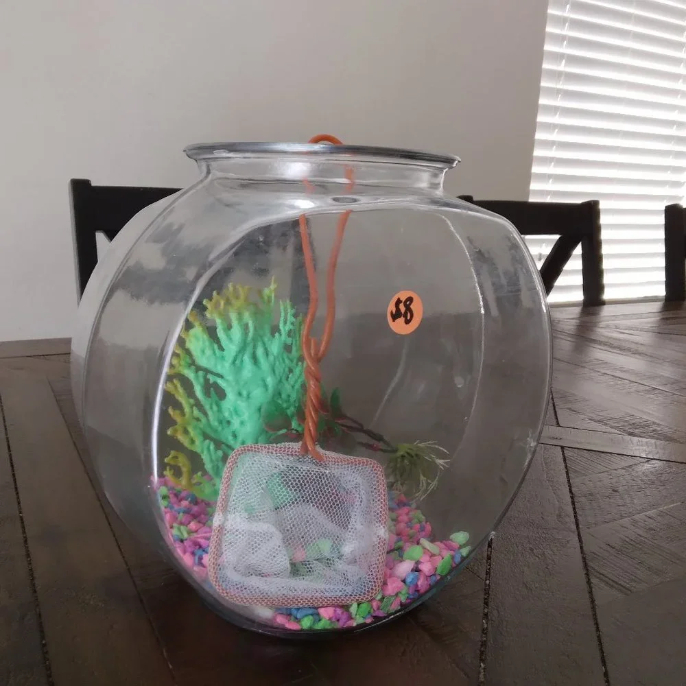 Gold fish Aquarium